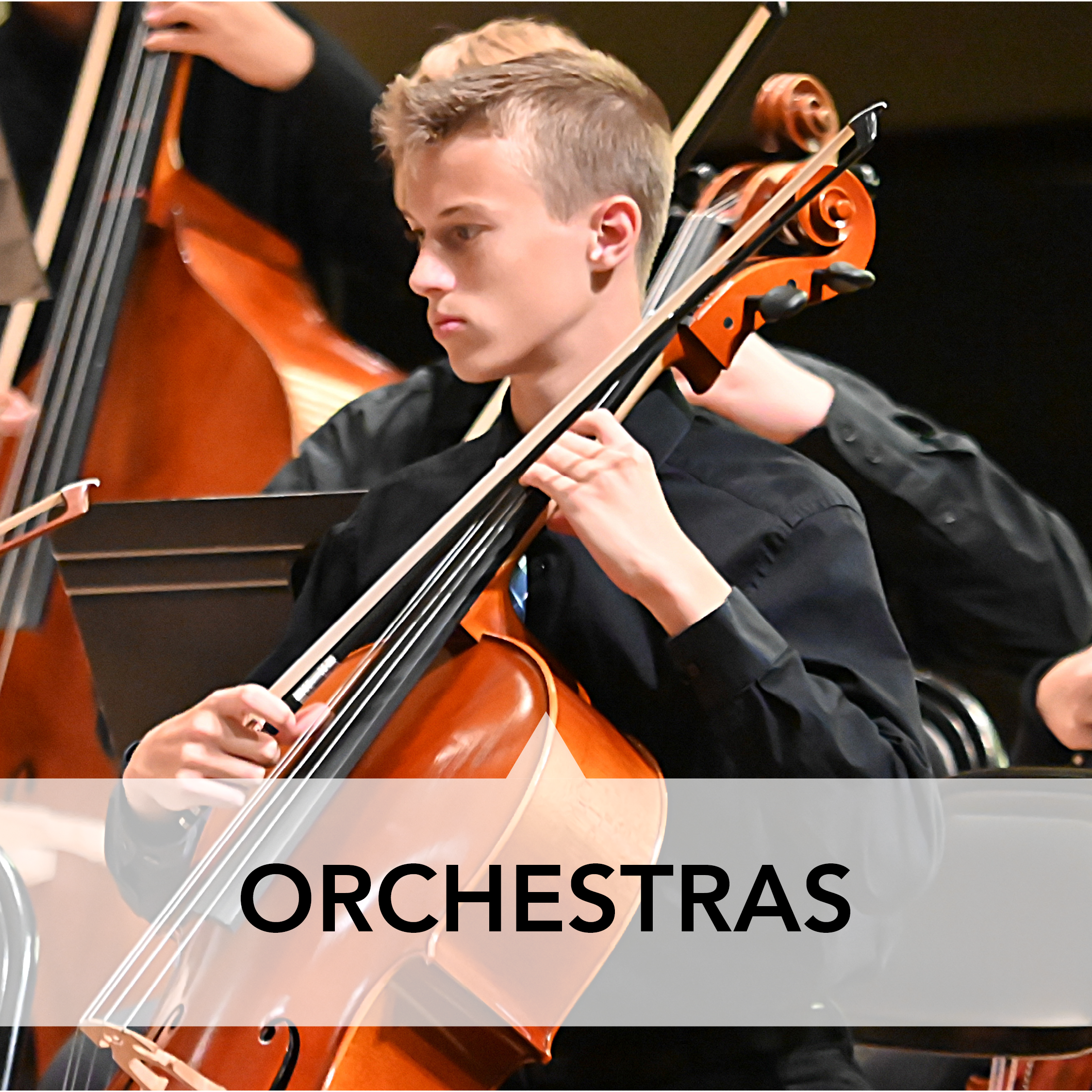 Orchestras