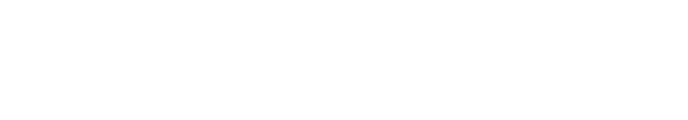 The Hochstein School